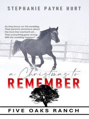 cover image of A Christmas to Remember